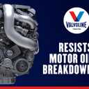 Valvoline Daily Protection 10W-30 Conventional Motor Oil 5 QT