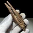 Natural Agarwood Coil Incense Comes in a Small jar Contains 10 Individual Packages. Each Packaged with Fireproof Cotton and can Burn for More Than one Hour