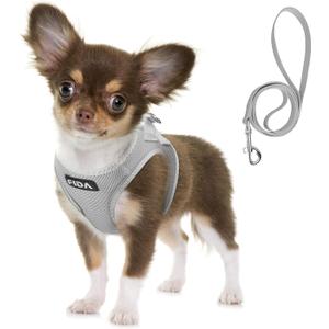 Fida Comfy Dog Harness with Leash, Soft Puppy Vest Escape Proof, Breathable Lightweight Soft Mesh, Adjustable Reflective Step-in Harness for Cat & Extra-Small Pet (XS, Grey) (XS (Neck:12.2"-13"; Girth:14.2"-16.1"))