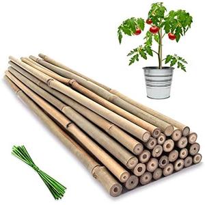 Plant Stakes,18 Inches Natural Garden Bamboo Sticks,BOVITRO 20Pcs Plant Support Stakes for Tomatoes,Beans,Vegetable and Potted Plants