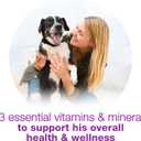 Purina Beneful Wet Dog Food Variety Pack, Chopped Blends - (12) 10 oz. Tubs (EXP 04/01/27)