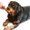 Neem Stick for Dog Chew, 100% Organic, Natural Toothpaste, Teething, Dental Care, (Medium Dog 22-44LBs, Pack of 3 Pieces)