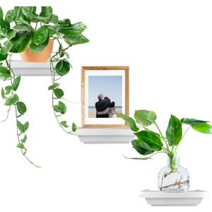 Small Shelves Set of 3 | 6 in x 4 in | Decorative Mini Shelves| Wall Mounted Shelves for Bathroom, Living Room, Kitchen, Bedroom, and Office (White)