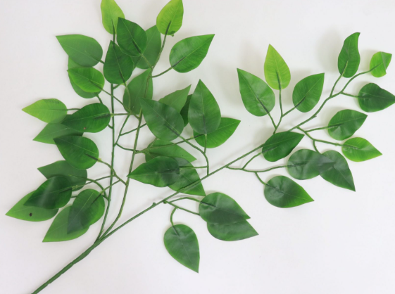Artificial Leaves