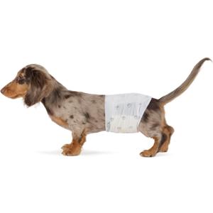 Amazon Basics Absorbent, Leakproof Male Dog Wrap Disposable Diapers, Small, Pack of 50, White