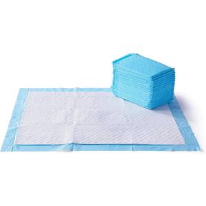 Basics LeakProof Dog and Puppy Potty Training Pee Pads with QuickDry 5Layer Super Absorbent Design, Regular Size 22 x 22 inch, Blue & White, 100 Count