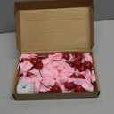 24 Pcs Cherry Party Decorations Cherry Pink Bow Garland Decor Shes The Cherries on Top Party DIY Fruit Hanging Ornaments for Wedding Baby Shower Bachelorette(Pink)