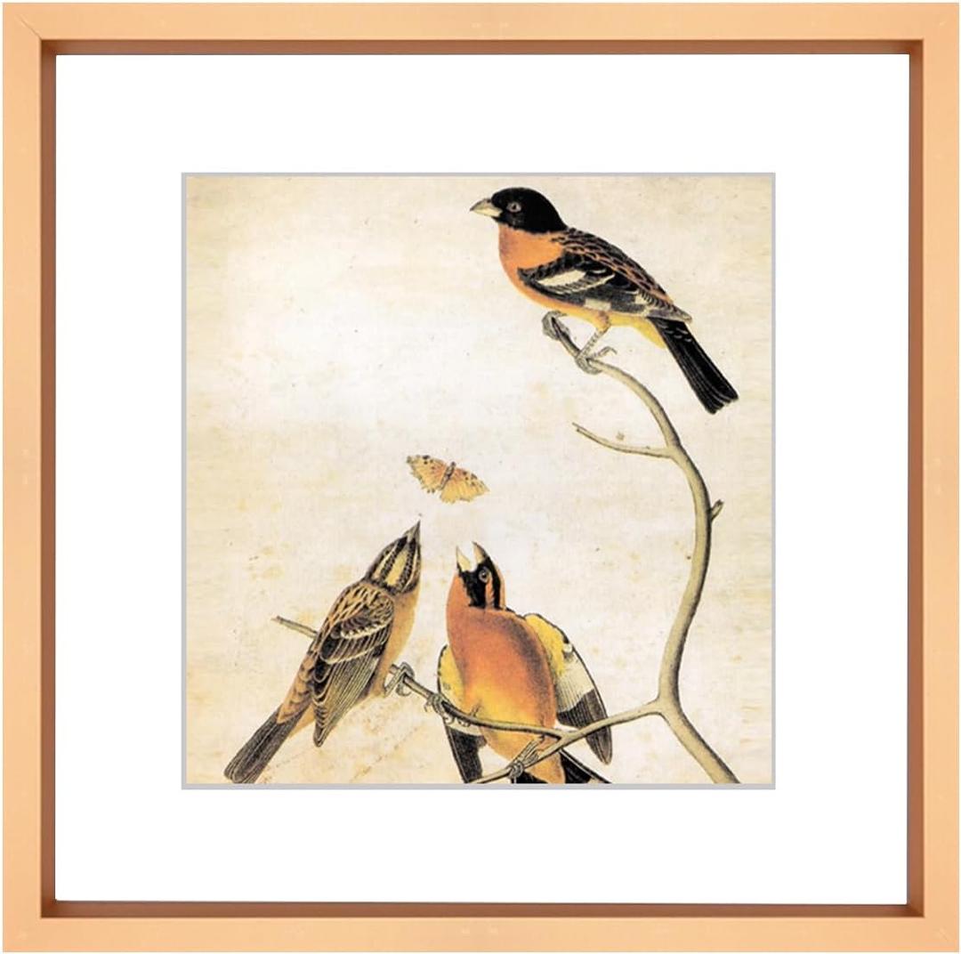 10x10 Picture Frame, Gold Metal Square Photo Frames with HD Glass, Fits 6x6 with Mat or 10 x 10 without Mat, Display for Wall and Table, 1 Pack