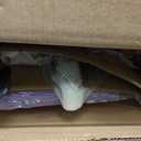 FurnitureR Mordern Small Desk Chair, Ergonomic Study Chair for Teens Boys & Girls, Height Adjustable 360 Swivel Kids Rolling Chair for Home/Bedroom/School/Study Room, Purple