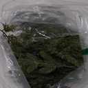 40 Pcs Artificial Pine Branches Assorted Faux Pine Stems Cedar Leaves Needle Sprigs Plastic Fake Christmas Greenery Pine Picks for Xmas Tree Wreaths Garlands DIY Accessories Home Decor (40, Green)