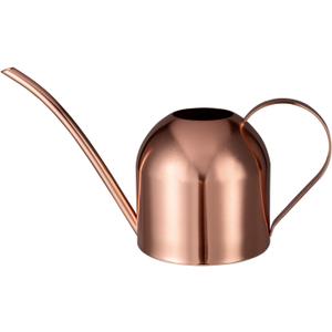 IMEEA Indoor Watering Can for House Plants 33oz/1L Stainless Steel Watering Can with Long Spout for Succulents, Bonsai (33oz (Rose Gold))