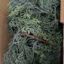 9ft Real Touch Cedar Garland Artificial Realistic Christmas Greenery Pine Garland with 225 Cedar Branches for Mantle, Fireplace, Table, Stairs, Doorframe, Window, Outdoor Indoor Xmas Decor