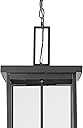 | Barkeley Collection | 42605-PBK | 27" Modern Four Bulb Outdoor Steel Large Hanging Lantern | Anti-Rust Powder Coat Black with Clear Glass Shade | Exterior Ambient Light for Safety