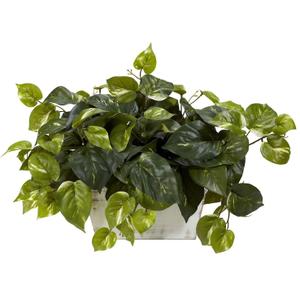 Nearly Natural 6713 Pothos with White Wash Planter Decorative Silk Plant, Green,20.5" x 12" x 6"