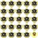 Suncalla 24 Pcs Award Lapel Pins Bulk Honor Society Academic Achievement Excellence Pins 1 Inch Recognition Appreciation Gift for Award Students School (Academic Excellence)