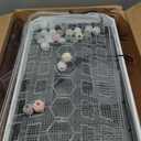 Turtle Habitat Spacious Turtle Tank Kit with Rain Shower Filter SPA & Easy Drain - Perfect for Baby Turtles, Red Eared Sliders Tortoises White, 25.69.413 Inch