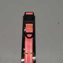 Taglory Reflective Adjustable Dog Collars for Puppy Small Medium Large Dogs, Thin Nylon Webbing and Quick Release Plastic Buckle(Aqua Blue, X-Large) (XL(1.25"x18-28"))