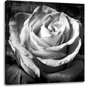 Bathroom Rose Flower Picture Wall Art Black and White Floral Prints on Canvas for Bedroom Girls Room Decor 24x24