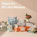 The Honest Company Clean Conscious Multi-Use Wipes Unscented Hypoallergenic Baby for Sensitive Skin 99% Water Plant-Based Compostable Geo Mood 288 Count (72 Count (Pack of 4))