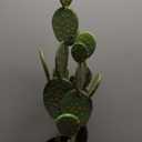 Artistic Cactus Potted Plants, Artificial Plants, Suitable For Home Gardens, Office Decoration, Housewarming Gifts, Imitation Cactus Festival decoration, furniture decoration, farmhou(Opuntia Chloroti