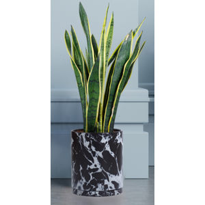 GJCR products 10 Inch Round Ceramic Planter with Tray, White Marble Finish, Indoor Plant Pot with Drainage Mesh and Scratch Pad