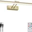 HEAGEERO Picture Light,20in Battery Picture Light for Wall, 5000mAh Wireless Remote Painting Light with Timer and Dimmable, Metal Art Light for Display,Artwork,Portrait,Gallery-Antique Brass