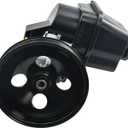 20-65990 Power Steering Pump with Pulley Fit for 2004-2007 Buick Rainier, 2002-2009 Chevy Trailblazer, 2002-2009 GMC Envoy, 2002-2004 Oldsmobile Bravada, 2005-2009 Saab, 2007-2008 Isuzu Ascender