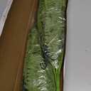 FOREST PRINCE 35" Ferns Artificial Bush Plants Large, 2 Artificial Boston Ferns with 39 Fronds for Outdoors Home Decor