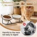 Elevated Tilted Cat Bowls for Indoor CatsRaised Ceramic Cat Bowl Elevated 15,Pet Feeding Bowls for Food and Water Anti Vomiting Bowl(Double Ceramics and Tilt Shelf) Suitable