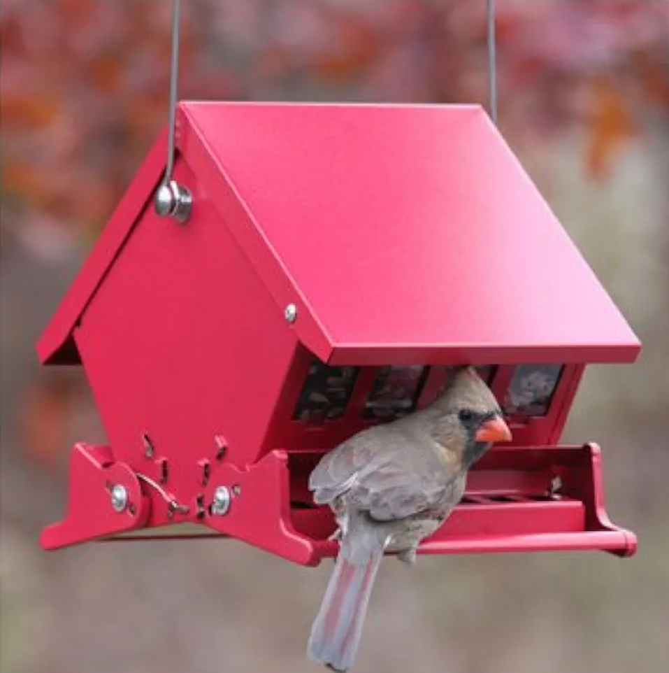 Audubon 7458 4 Lb Capacity Squirrel Proof Bird Feeder