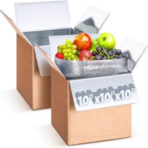 Gilprop 2 Pack Insulated Shipping Box Double Insulated with Aluminum Foil Liner, 10" x 10" x 10" Thermal Insulation Cold Pack Reusable Shipping Cooler Boxes for Frozen Food Meat Fish Mailing Packaging