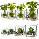 Set of 8 Square Glass Vases for Centerpieces  2.36in /3.15in/ 4in/5in Clear Short Flower Vase, Plant Terrariums, or Candle Holders for Wedding Centerpieces, Office Decor, Home Dcor, Parties