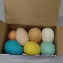 VitalCozy 12 Pcs Easter Colorful Felted Eggs Easter Pastel Felt Wool Eggs for Easter Spring Garland Crafts Tree Hanging Ornaments Party Decoration