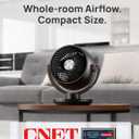DREO Fan for Bedroom, Desk Air Circulator Fan with Remote, 11 Inch Table Fans for Whole Room, 65ft Powerful Airflow, 120 Vertical Manual +90 Oscillating, 4 Speeds, 8H Timer, 25dB Quiet Fan, Home