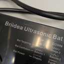 Ultrasonic Bat Removal, Briidea Bat Away System, Demands Bats to Flee, Human and Pet Safe