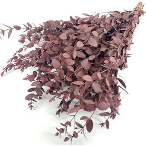 Birtlynn Preserved Dried Eucalyptus Greenery Stems, 20+ Pcs 16 inches Natural Long Lasting Eucalyptus Bundles for Vase Arrangements Home Decoration Photo Props Parties and Weddings, DIY Décor-Red
