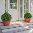Artificial Boxwood Topiary Tree with Olive, Set of 2 Artificial Shrub Bushes with Ground Spike, Fake Evergreen Tree for Porch, Artificial Plants for Outdoor Planters Indoor UV Resistant