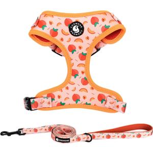 Dog Harness and Leash Set, Adjustable Dog Harness, Dog Leash, No Pull No Choke Puppy Harnesses for Walking Training for Small Pet (S(Chest 13 - 19", Neck 9.5 - 13.1"), Peach)