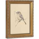 Gold Framed Bird Canvas Wall Art 12"/16"