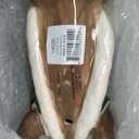 Blue Sky Clayworks Dachshund 19026 Puppy Dog Dressed as Christmas Tree Figurine 9.75" L