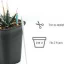 Aquameter Soil Moisture Meter for Succulents, General Plant, Bonsai, Gardening & Farming, Indoor & Outdoor, Beginner-Friendly (6 PCS)