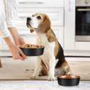 Teenyyou 8 Pcs Hammered Stainless Steel Dog Bowls 4 Cup/32 oz, 6.9 Dia Metal Pet Food and Water Bowls Bulk Thickened Durable Replacement Dish for Small Medium Large Dog (Black Gold)