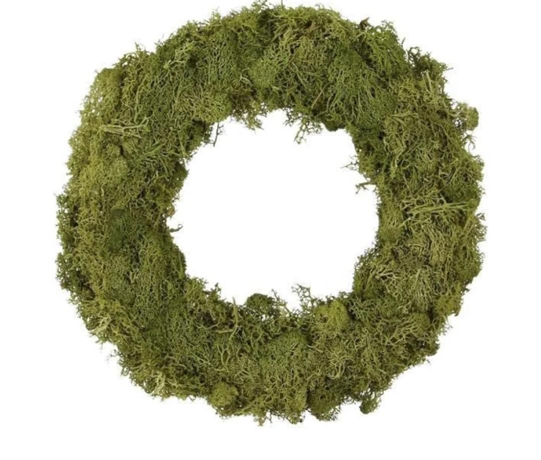 Natural Preserved Moss Wreath for Front Door or Wall, Green, Handmade 16 inch