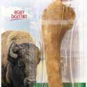 Nylabone Healthy Edibles WILD Natural Dog Chew Treats for Large Dogs, Long Lasting Dog Chew Bones Made in USA, Bison Flavor, For Dogs Up to 50 lbs. (1 Count) (EXP 01/06/29)