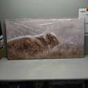 VAYIMDH Wall Art for Dining Room Area Over The Bed Wall Decor for Bedroom Nature Canvas Wall Painting Brown Print Photos Animal Art Posters 24"x48"