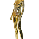 Mannequin Dress Form Display - Manikin Torso Stand Realistic Full Body Mannequin for Retail Clothing Shops, Halloween Christmas Cosplay (Gold, Female)