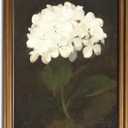 Gold Framed Wall Art Vintage Canvas Wall Art White Hydrangea Flower Floral Artwork Prints Picture for Living Room Bedroom Farmhouse Bathroom Office Decor, 16x24