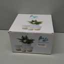 Plant Pots,12/10/9/8/ Inch Large Plastic Self Watering Flower Pots Indoor Outdoor with Drainage Holes, Deep Reservoir,Nursery Planting Pot for Indoor Out Door Plants White