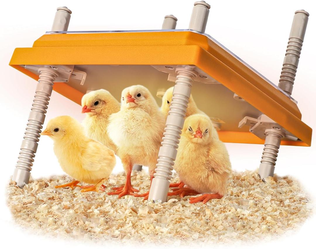NUGRIART Brooder Heater for Chicks, 10" x 10" for 15 Chicks Heating Plate with Adjustable Height and Angle 15W Chicken Brooder Warm Like Mother Hen
