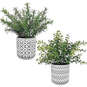 Winlyn 2 Pack Small Potted Eucalyptus Plant Artificial Plants Green Boxwood Rosemary Greenery in Modern Concrete Plant Pots